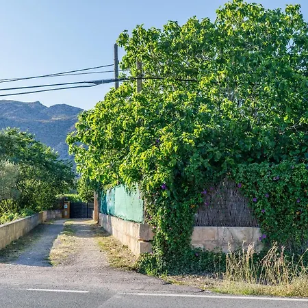 Alfonsa Villa